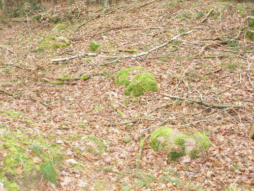 Die MegalithSeiten von Thomas Witzke Großsteingrab Ziesendorf 4