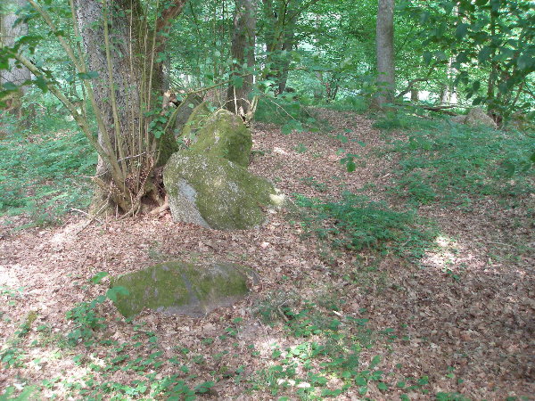 Die Megalith-Seiten von Thomas Witzke: Großsteingrab Negernbötel 3